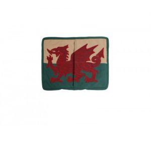 Ipad Case - Welsh Dragon