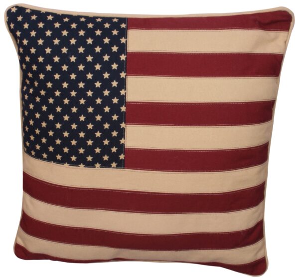 America Pillow (18" x 18")